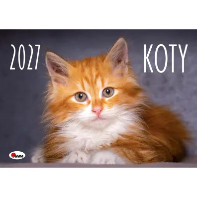 Kalendarz 2027 �cienny Koty KA2