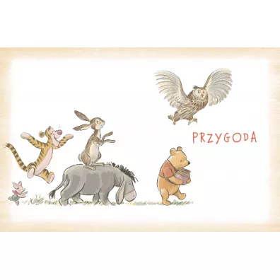 Ma�a ksi�ga m�dro�ci Kubusia. Disney Kubu� i Przyjaciele