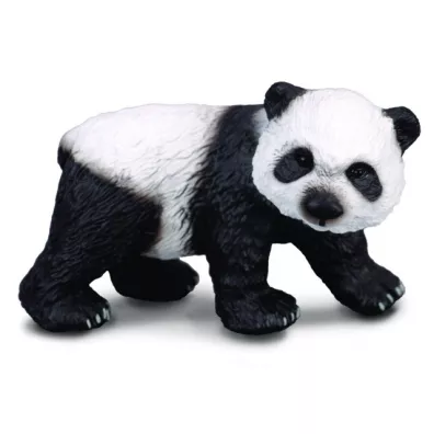Nied�wiadek pandy wielkiej stoj�cy