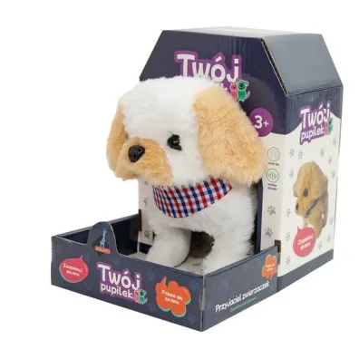 Tw�j pupilek piesek Askato
