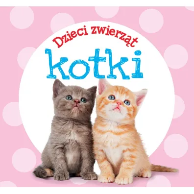 Dzieci zwierz�t - kotki