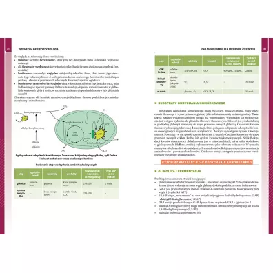 Vademecum. Matura 2022. Biologia