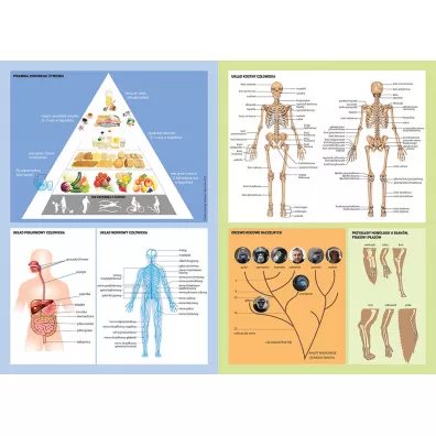 Vademecum. Matura 2022. Biologia