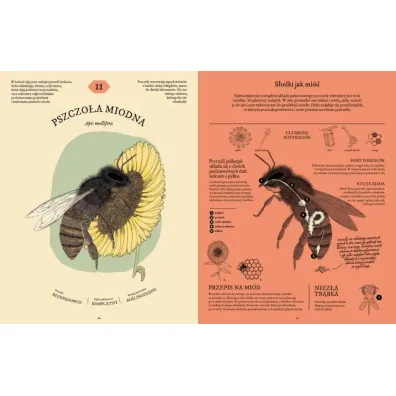 Jak to strawi�? Tajemnice uk�adu pokarmowego zwierz�t