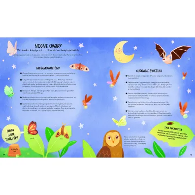 Sekretne �ycie owad�w
