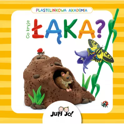 Co kryje ��ka? Plastelinkowa akademia - Magdalena  M�odnicka