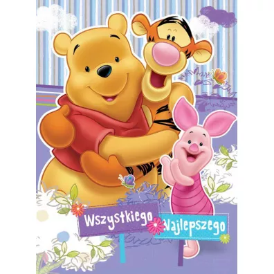 Verte Karnet XL Disney