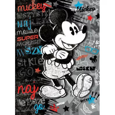 Verte Karnet XL Disney
