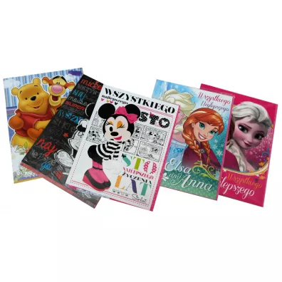 Verte Karnet XL Disney