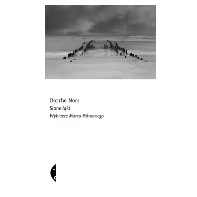 S�one ��ki. Wybrze�e Morza P�nocnego - Dorthe Nors