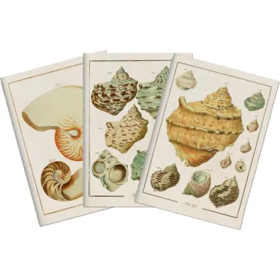 Skona Ting Stone 507 Zestaw 3 notatnik�w A6 - muszle