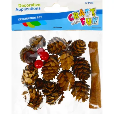 Craft with Fun Szyszki naturalne z akcesoriami 17 szt.