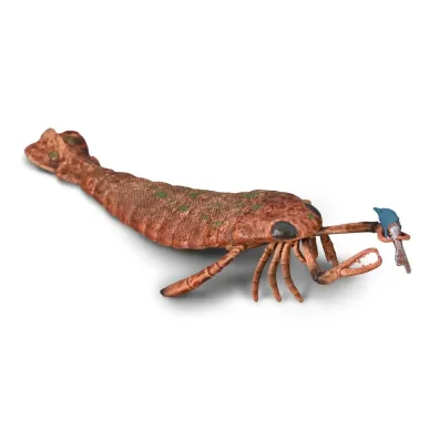 Collecta Jaekelopterus