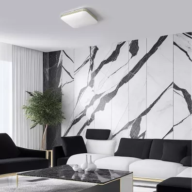 Eko-light Plafon sufitowy Dabar 17W LED