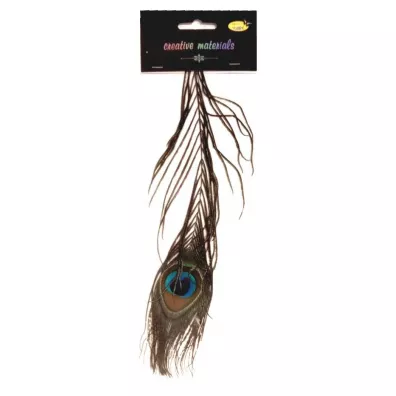 Galeria Hobby Pi�ro pawia 25cm
