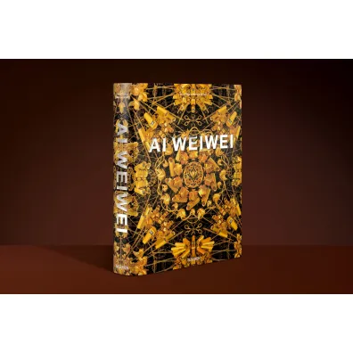 Ai Weiwei. Updated Edition