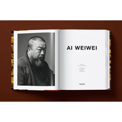 Ai Weiwei. Updated Edition