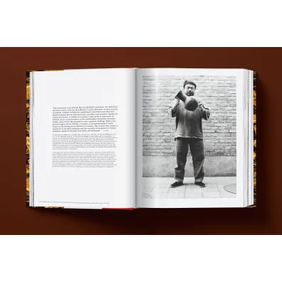Ai Weiwei. Updated Edition