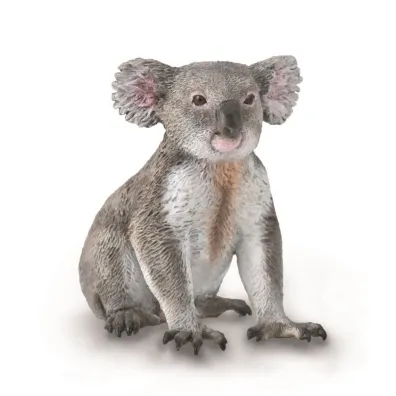 Mi� koala