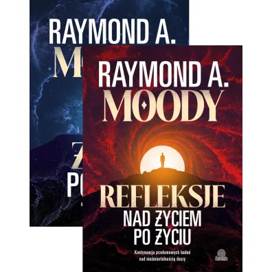 Pakiet: �ycie po �yciu, Refleksje nad �yciem po �yciu