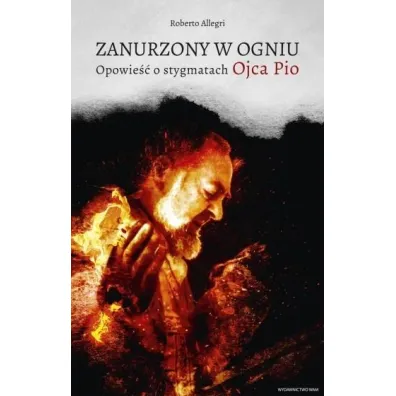 Zanurzony w ogniu - Allegri Roberto