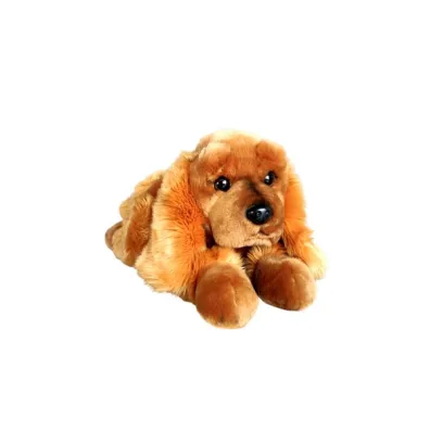 Pies Spaniel 62cm Dubi