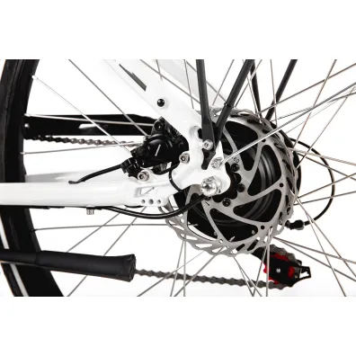 Romet Rower elektryczny WAVE AN 1.0 R 504WH bia�y 17 M