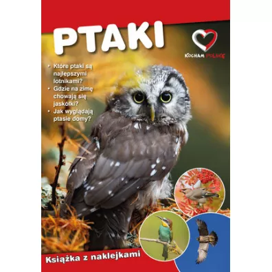 Ptaki. Ekoprzewodnik modego odkrywcy - Pawe Zalewski