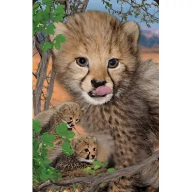 Worth Keeping Mini kartka 3D Gepard