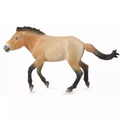 Ogier przewalski