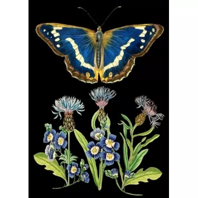 Madame Treacle Karnet B6 z kopert� Niebieski motyl