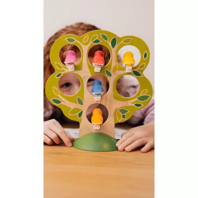 Smart Games. 5 Little Birds (ENG) IUVI Games
