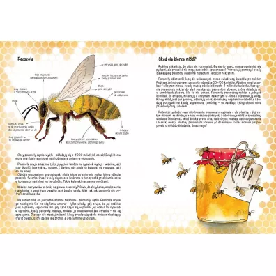 Opowiem ci, mamo, skd si bierze mid