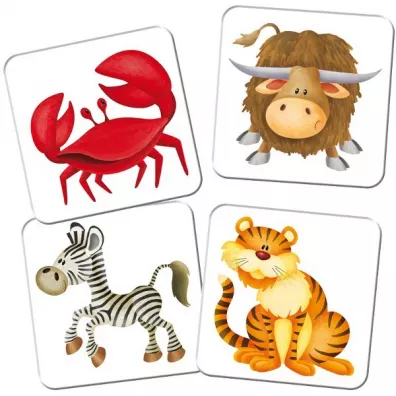 Kuferek pe�en gier. Memory Zoo Adamigo
