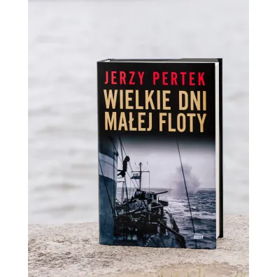 Wielkie dni ma�ej floty