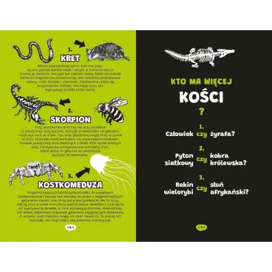 #Zoologia. Kto ma wi�cej?