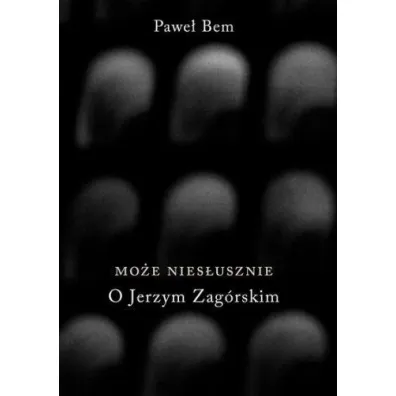 Mo�e nies�usznie. O Jerzym Zag�rskim - Pawe� Bem