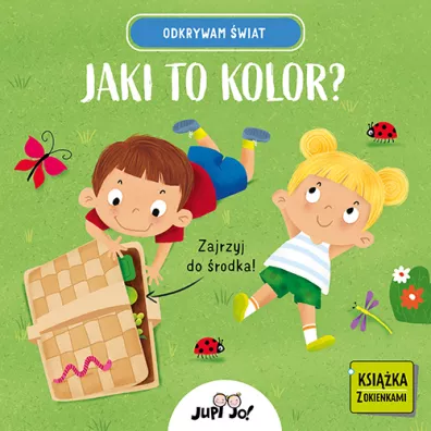 Odkrywam wiat. Jaki to kolor? - Agnieszka Matz, Magdalena  Modnicka