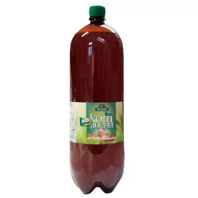 Bio Linie Kombucha herbata zielona 2 l Bio