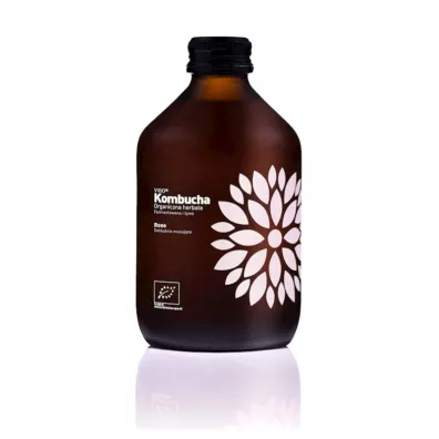 Vigo Yoko Kombucha r�ana bezglutenowa 330 ml Bio