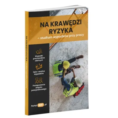 Na kraw�dzi ryzyka - studium wypadk�w przy pracy