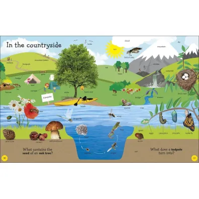 1000 Useful Words. Build Vocabulary and Literacy Skills wer. angielska