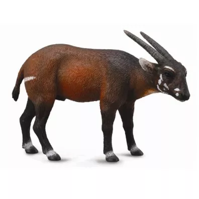 Soala L