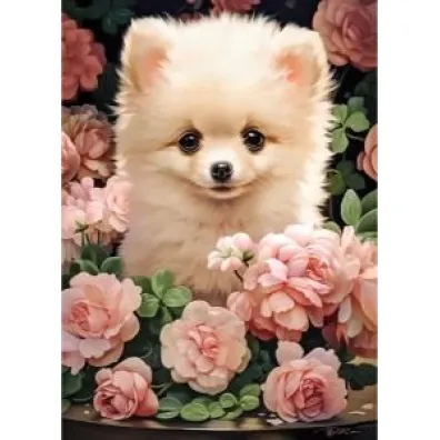 Puzzle 60 el. Pomeranian Puppy in Roses Castorland