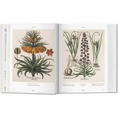 Basilius Besler. Florilegium. The Book of Plants wer. angielska
