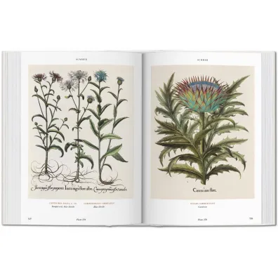 Basilius Besler. Florilegium. The Book of Plants wer. angielska