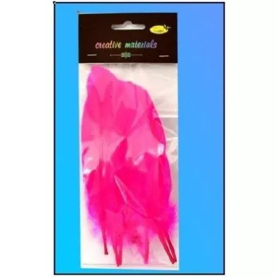 Galeria Hobby Pi�rka twarde r�owe 10 szt.