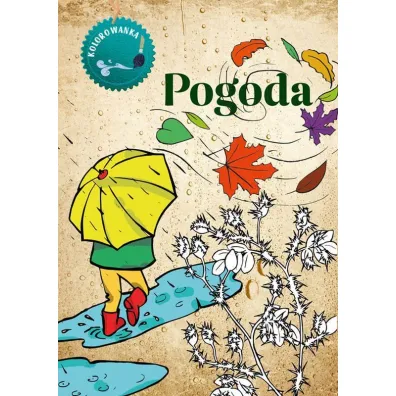 Pogoda. Kolorowanka - Katarzyna Kopiec-Sekieta