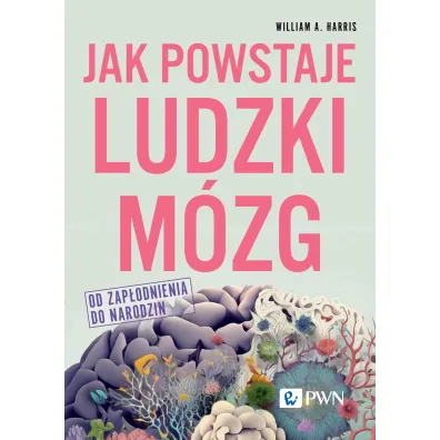 Jak powstaje ludzki m�zg. Od zap�odnienia do narodzin - William A. Harris