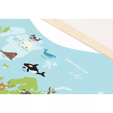 Tablica edukacyjna Animal adventure! 60x40 cm